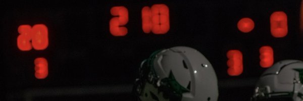 Taureansirleaf2 Profile Banner