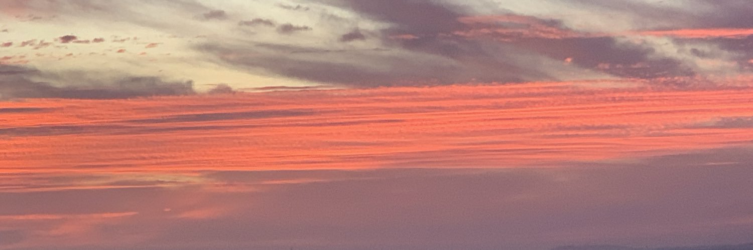 MindBrainLMTT's profile banner image