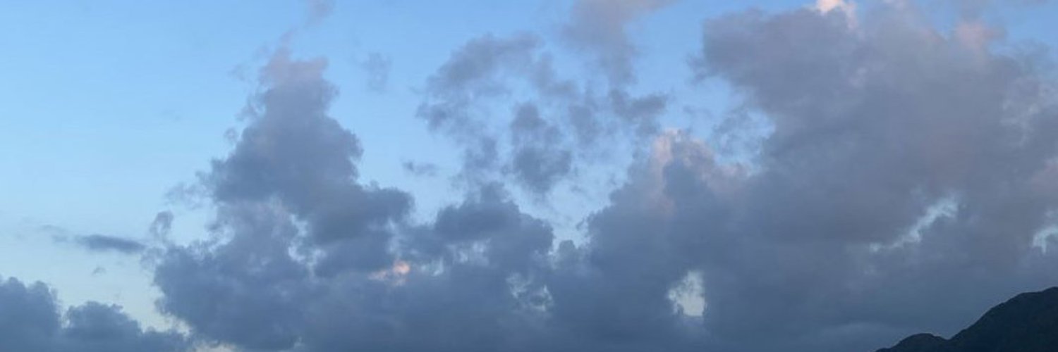 dodo1722959's profile banner image