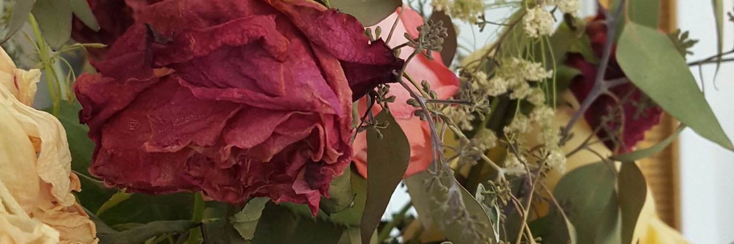 rueanemone's profile banner image