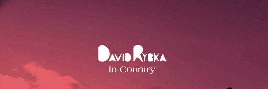D a v i d Rybka banner