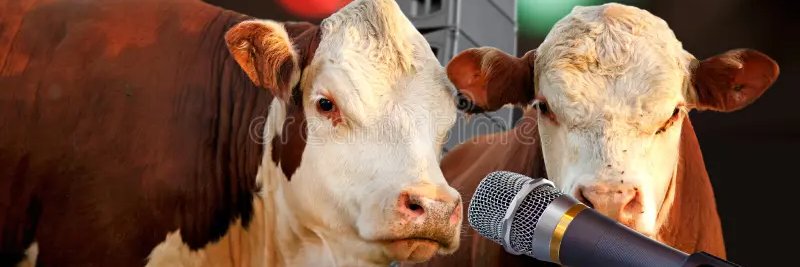 Cowmentator banner