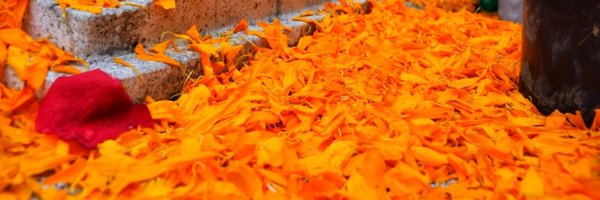 Anamalortiz Profile Banner