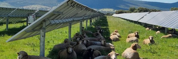 MoiaTEnergetica Profile Banner