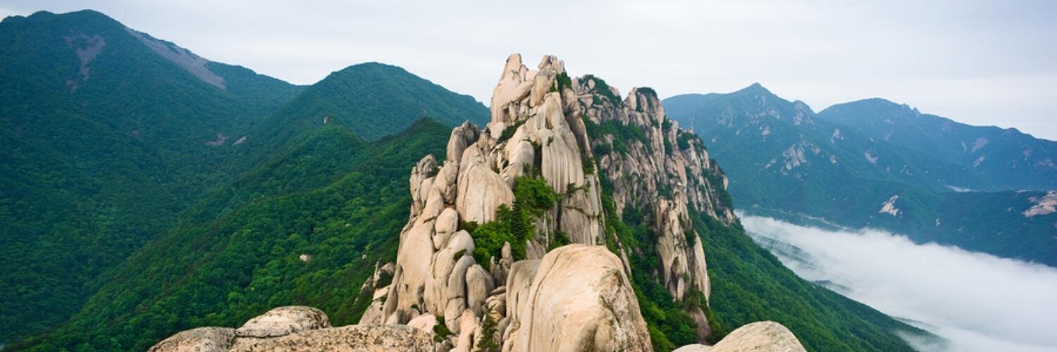 Korean Language banner