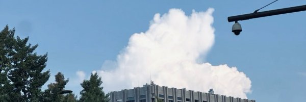 binzipturri Profile Banner