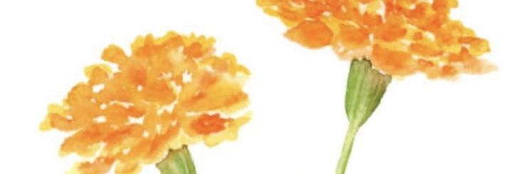 ᛝ🪽Sen ♥︎ Phainon, Solomon, and Angel's Love banner