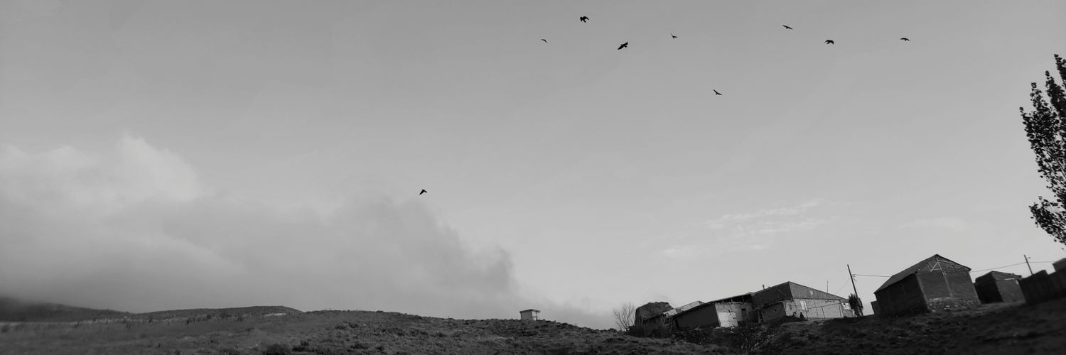 AliHoushyarib's profile banner image