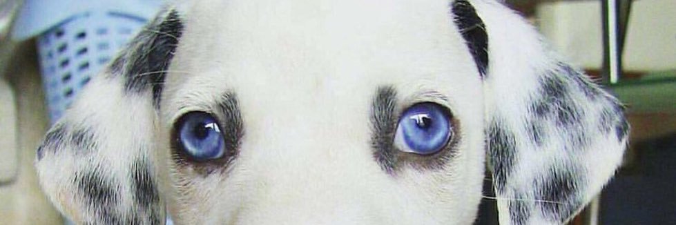 ANA_RIOSPY's profile banner image