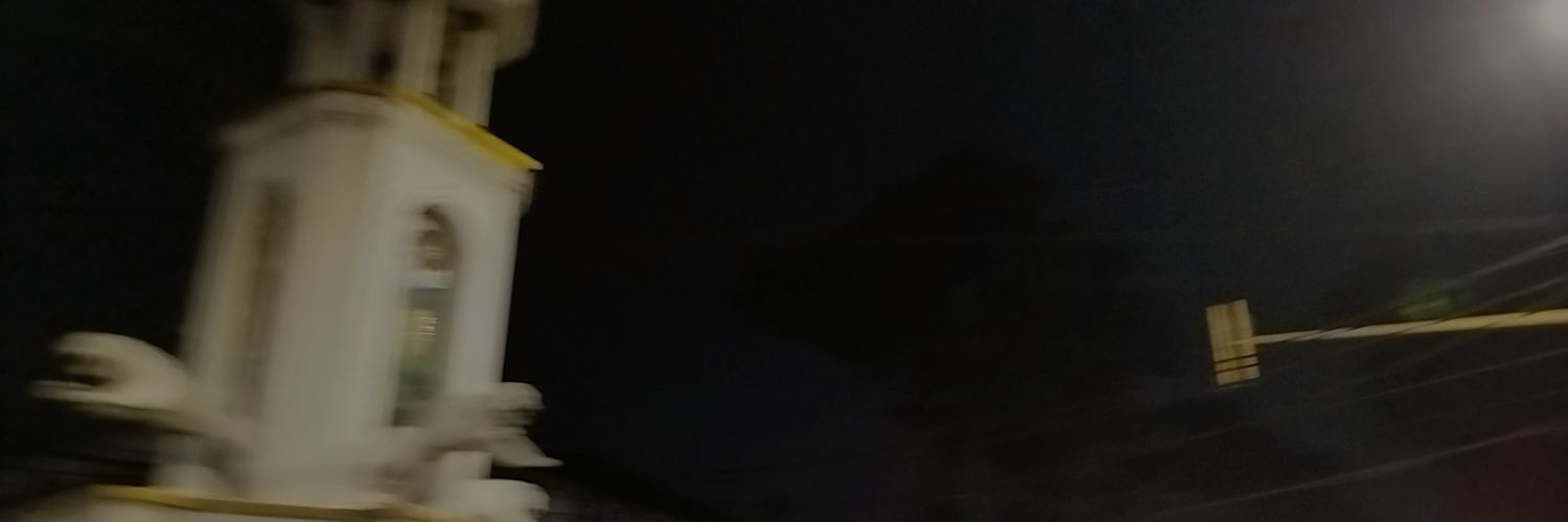 panie banner