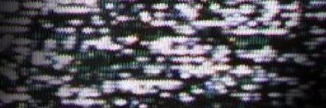 𝑬𝑵𝑮𝑬𝑳. banner