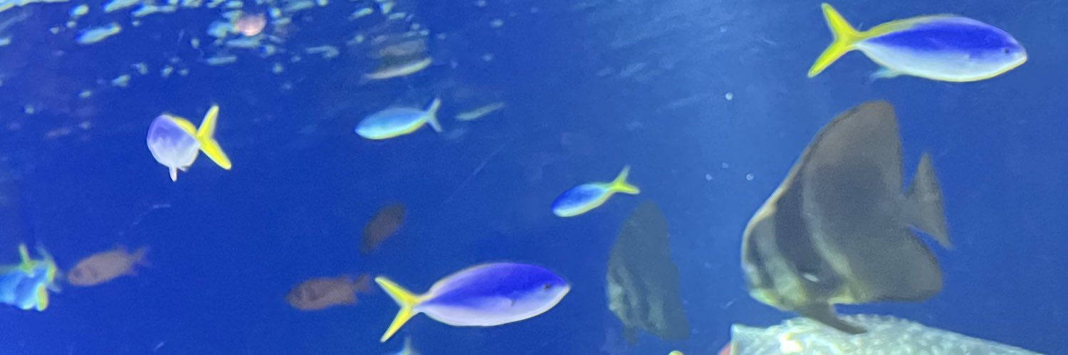 サバ banner