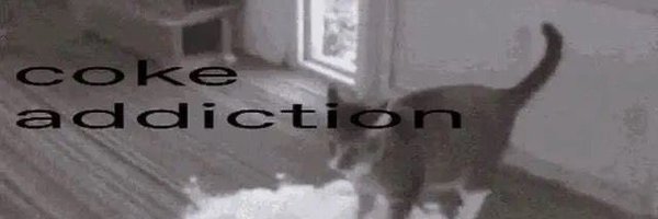 lsdeadjunkie Profile Banner