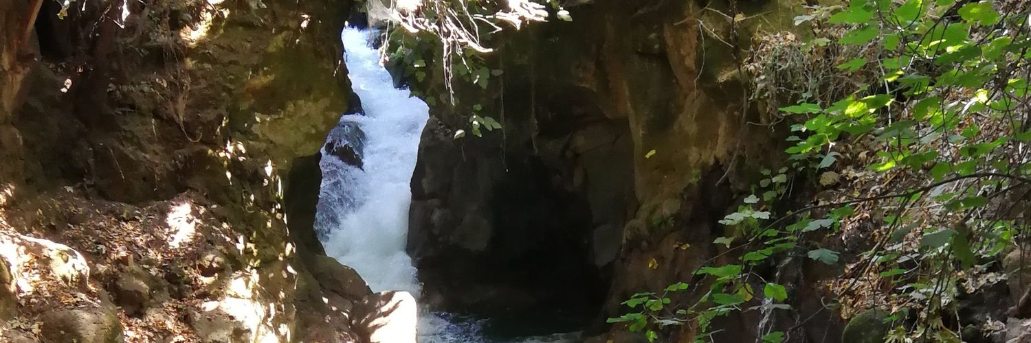 luvisl's profile banner image