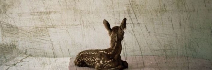 ♡ | أميرهـ banner