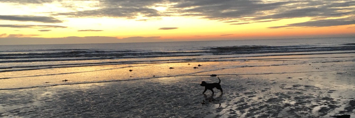 Amelia Moylan banner