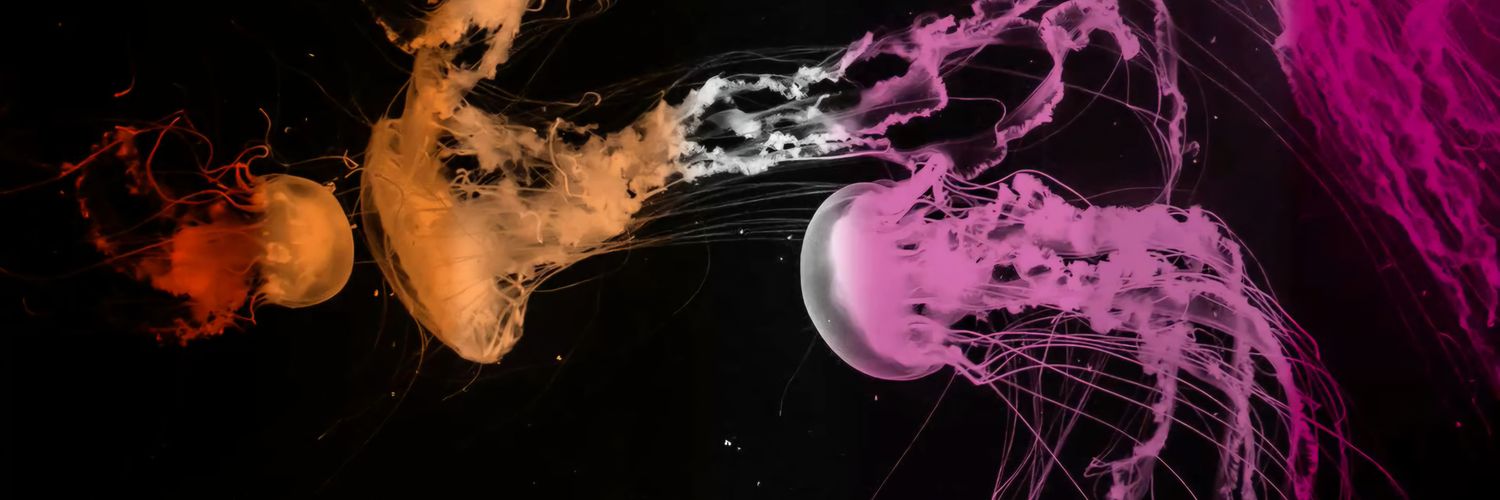 tolentinoss's profile banner image