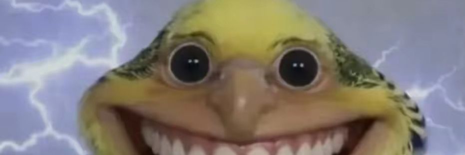 Thesmilingparrot banner