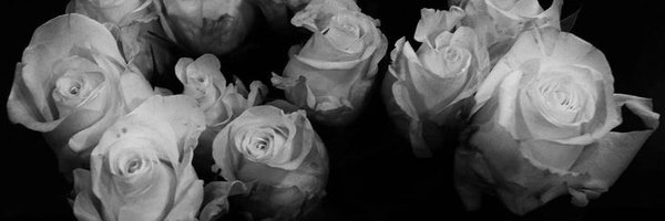 RafsLittleCrow Profile Banner