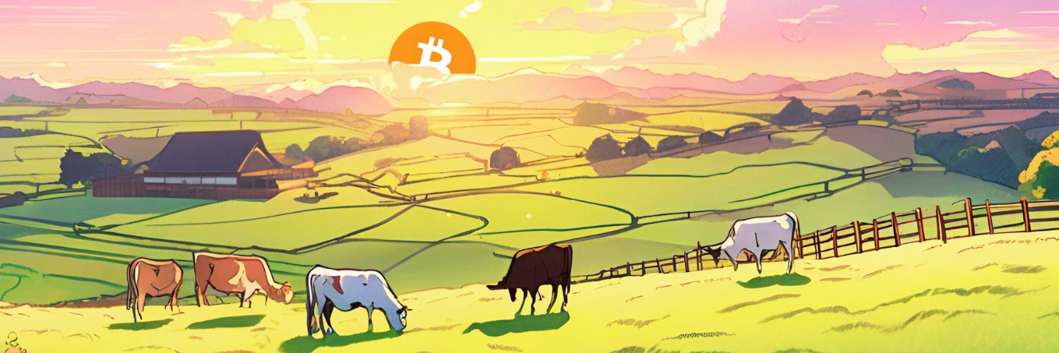 Texas_Bitcoin - 💜Kraken 🐙's banner