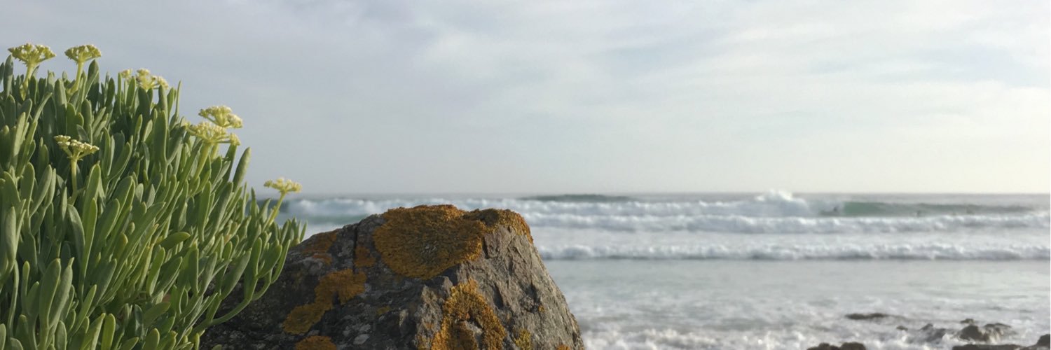 EvaLiljestrom's profile banner image