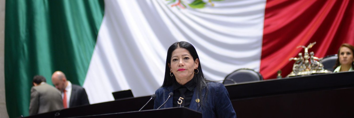 dipceliafonseca's profile banner image