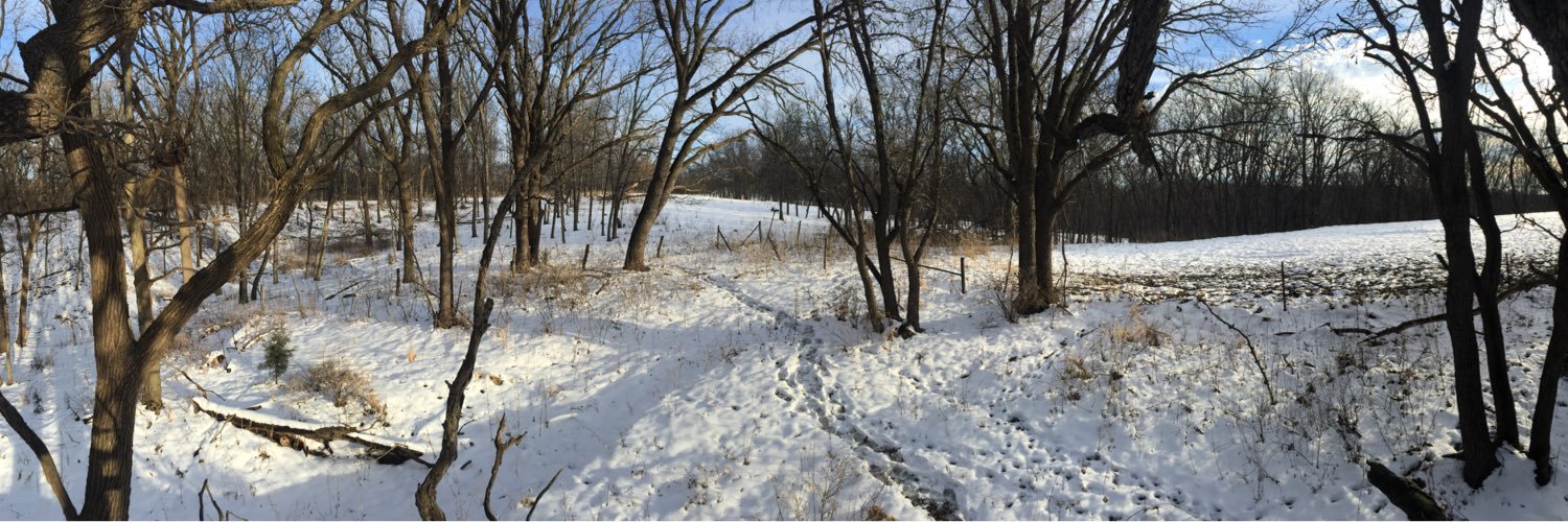 Andrew Anderson banner