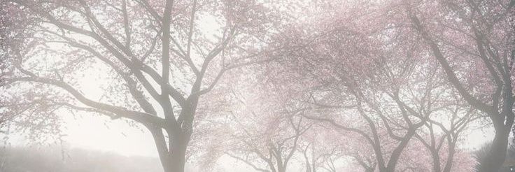 k banner