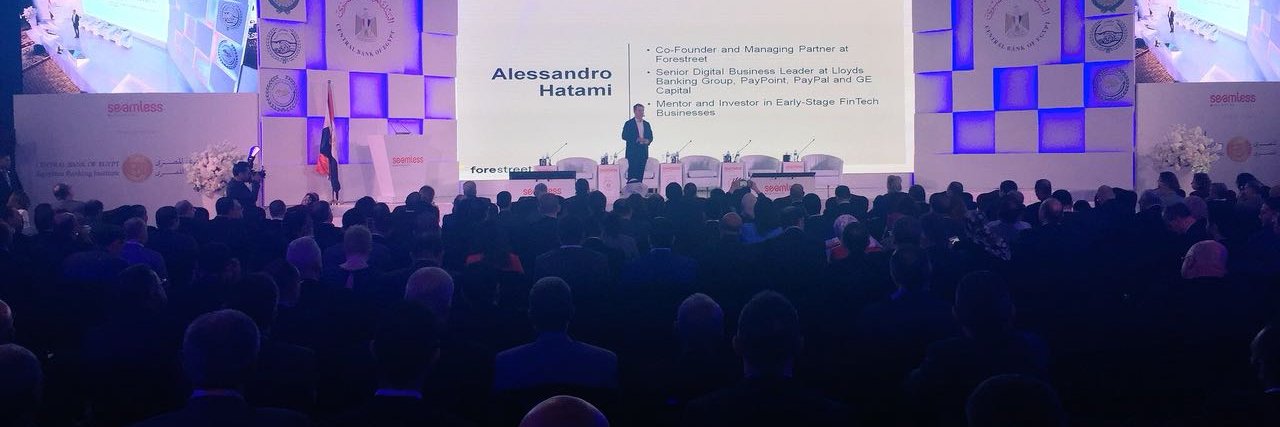 Alessandro E. Hatami banner