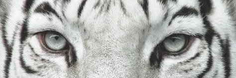9of1o's profile banner image