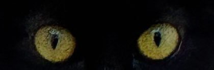DarthRaoulfr's profile banner image
