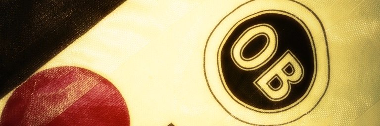 Torsten E. Jensen banner