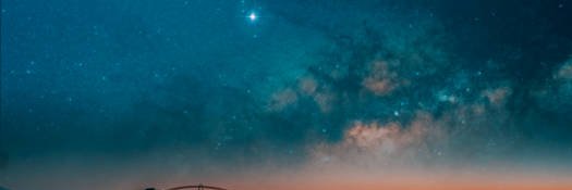 DayWalker🦜 banner