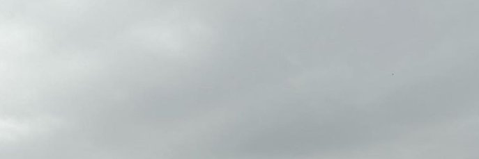 包头小母狗啪崽 banner