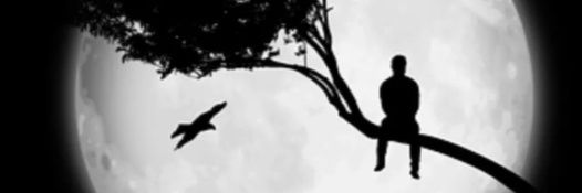KUTAYBEY_07's profile banner image