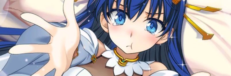 Sky's banner