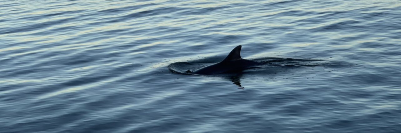 Bethany Barnes banner