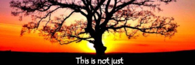 heres_swati's profile banner image