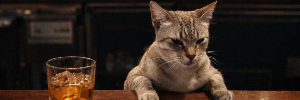 qinfastr's profile banner image