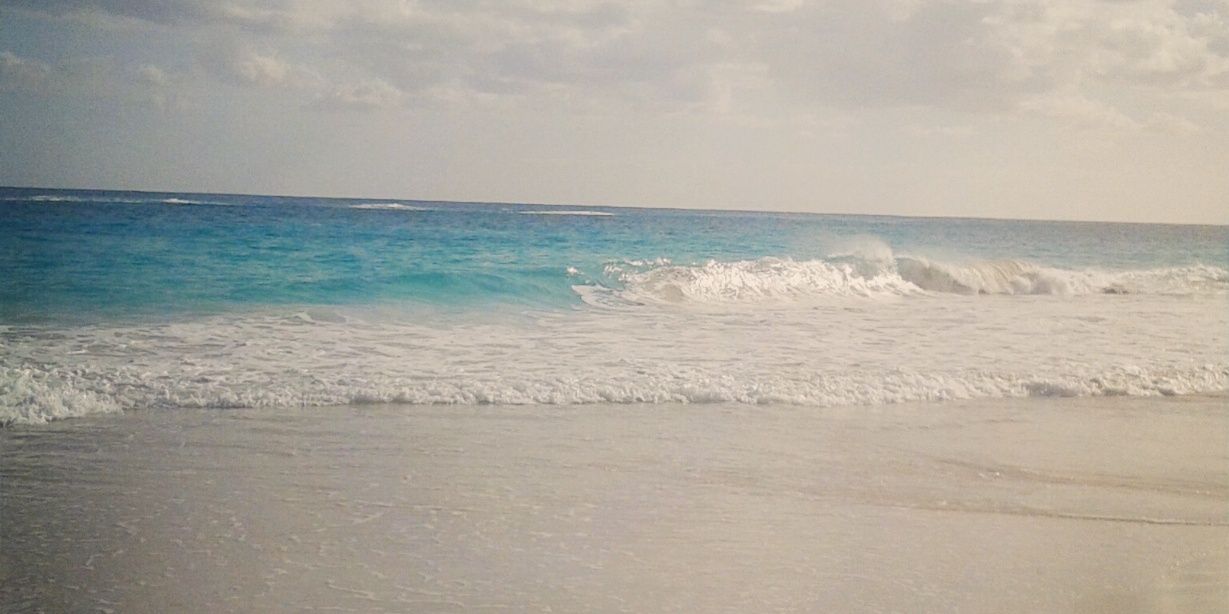 MacaMateo's profile banner image