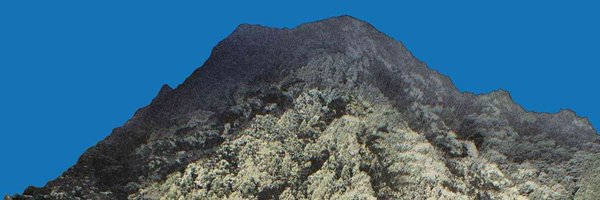 TimelyTSHD Profile Banner