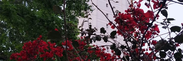 martuiz's profile banner image
