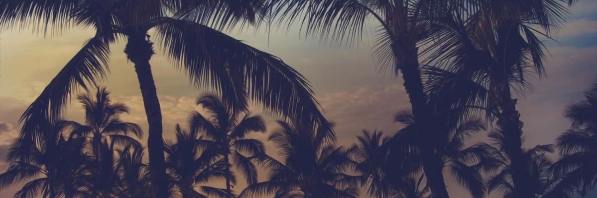 vrb_thaila's profile banner image