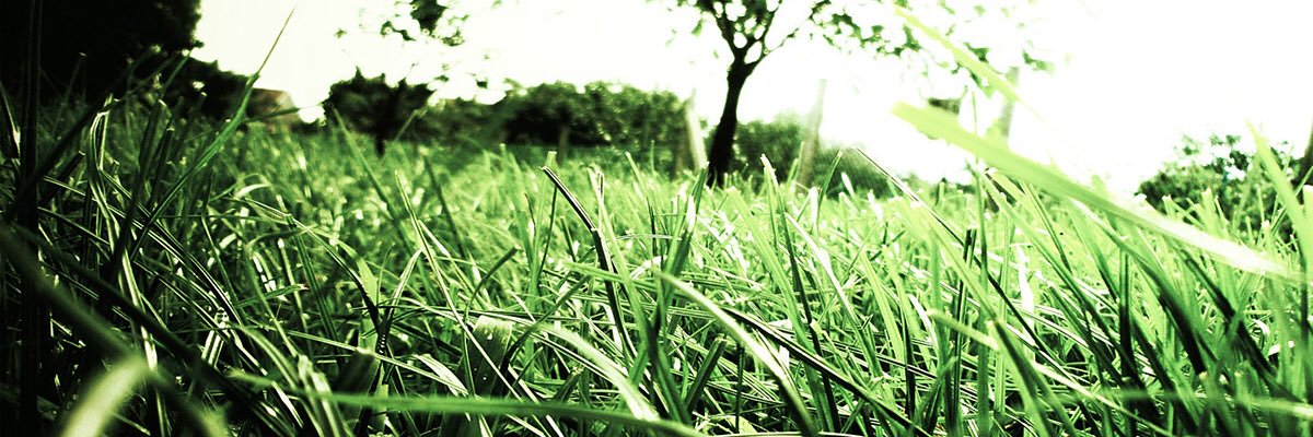 casuallashton's profile banner image