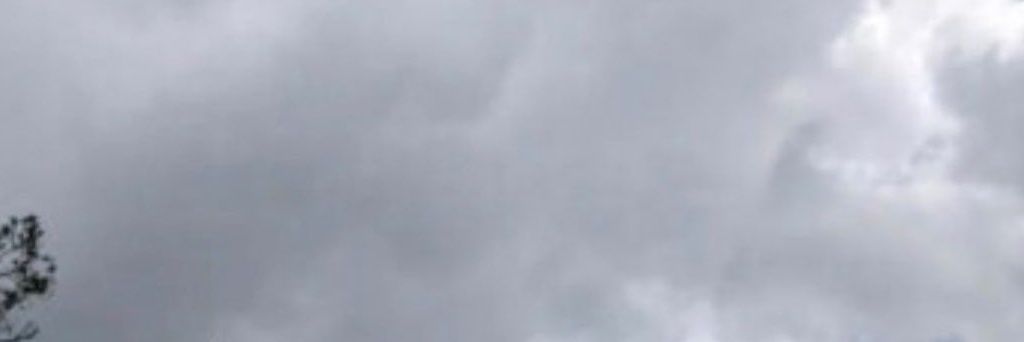 The Cart Chiefa banner