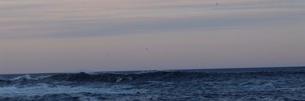 Magali_Gregoire Profile Banner