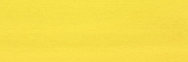 ClariNegro's profile banner image