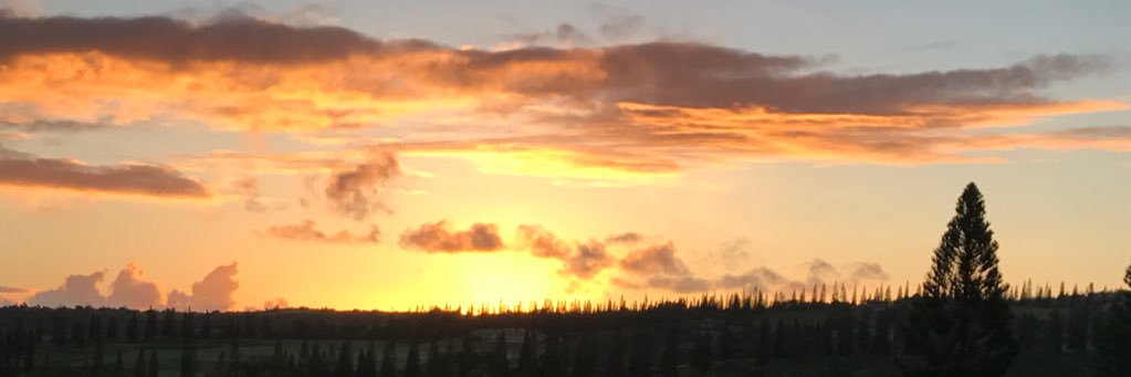 Barry168's profile banner image
