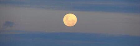 cuascuija's profile banner image