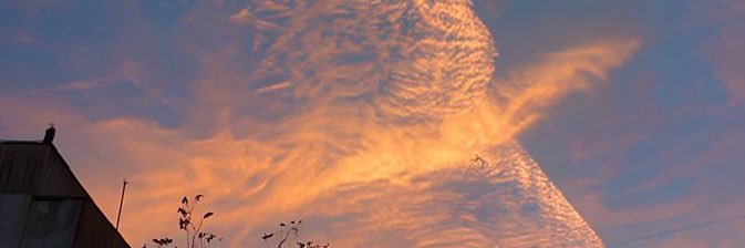 Fabricio Pereira banner